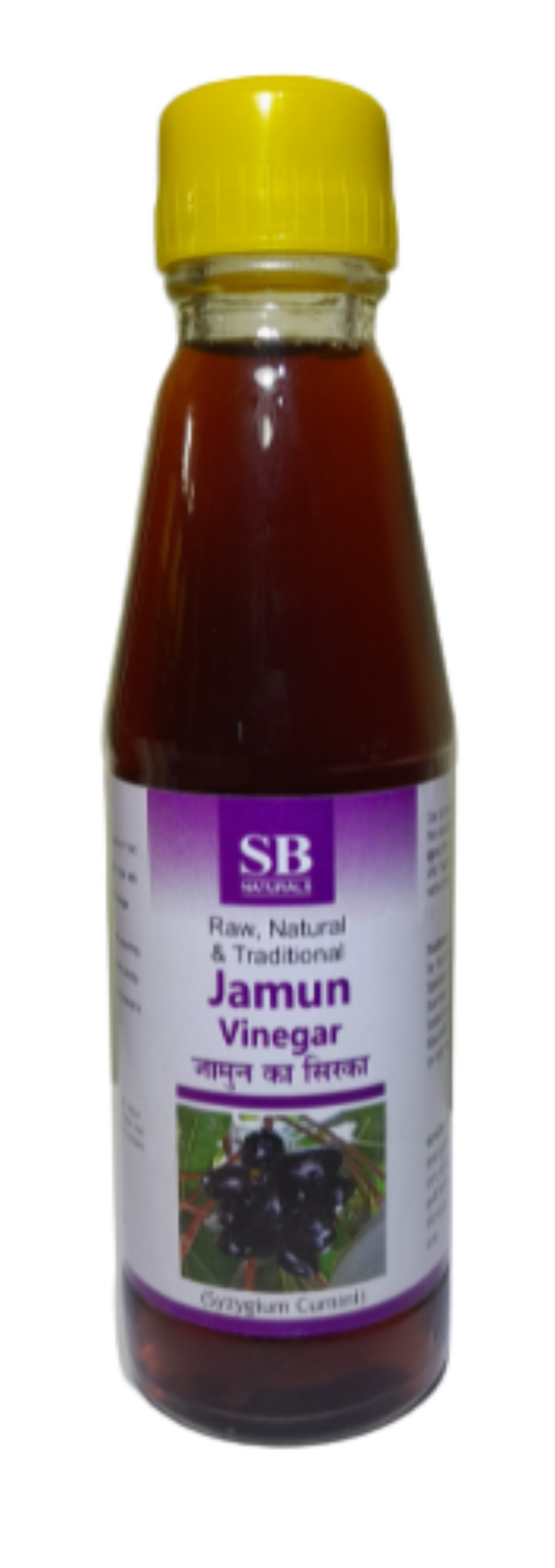 Jamun Vinegar SB Naturals